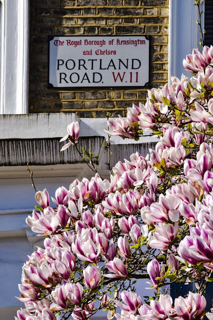 A narrow cobbled street in a residential area with multi-storey terraced houses on the left, each featuring white or cream facades, large windows, and small balconies with railings. Potted plants and 